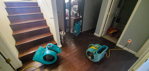 Best Water damage cleanup near me  in Lake Wylie, SC