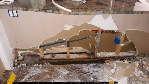 Best Local water damage restoration  in Lake Wylie, SC
